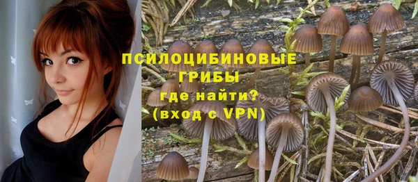 молекула духа Алексин