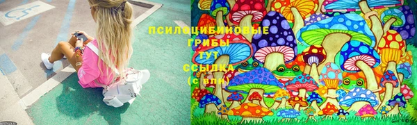 молекула духа Алексин
