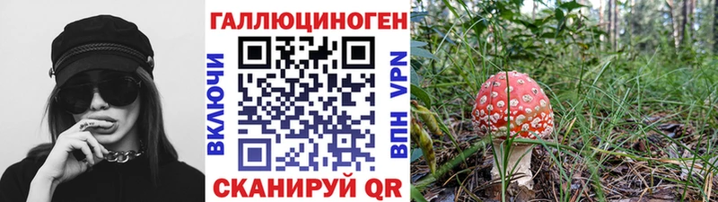 Псилоцибиновые грибы прущие грибы mega сайт Жуковка